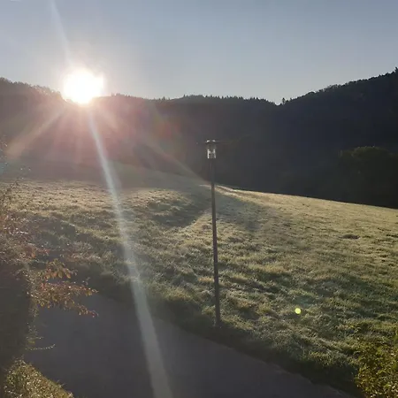 Schwarzwaldblick