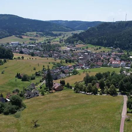 Apartamento Schwarzwaldblick Seelbach (Baden-Wurttemberg)