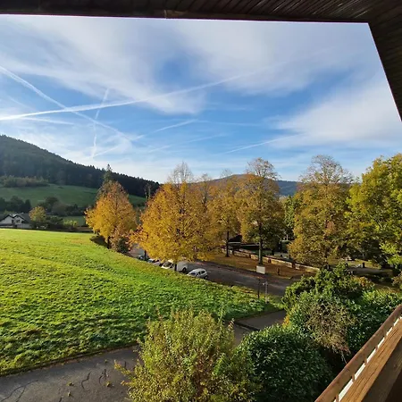 Schwarzwaldblick