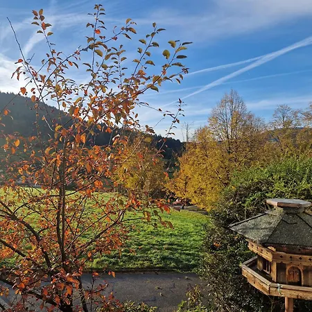 Schwarzwaldblick