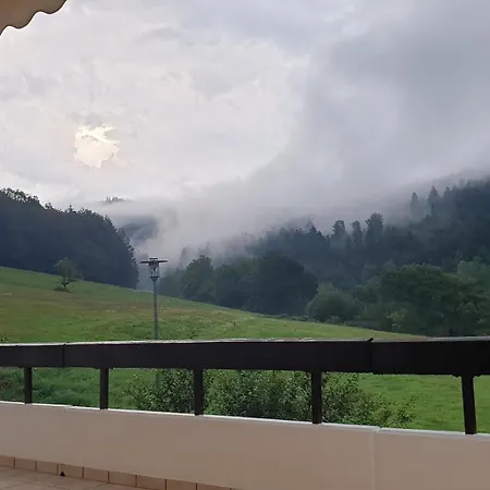 Schwarzwaldblick Apartamento *